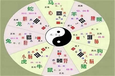 尚字五行|尚的五行属性